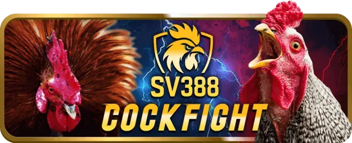 Chiến thuật chơi casino trực tuyến c88 bet